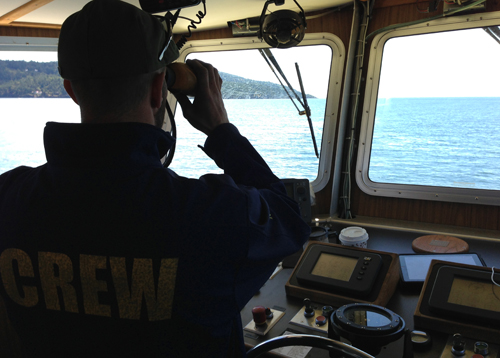 PWWA Sightings IMG 3842